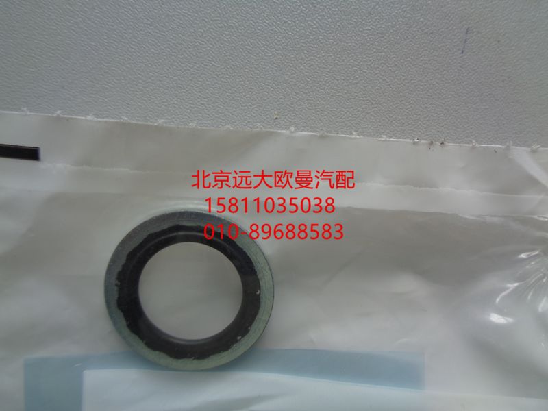 3963988,密封墊圈,北京遠(yuǎn)大歐曼汽車配件有限公司