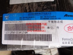 1325129581003,平衡軸總成,北京遠(yuǎn)大歐曼汽車(chē)配件有限公司