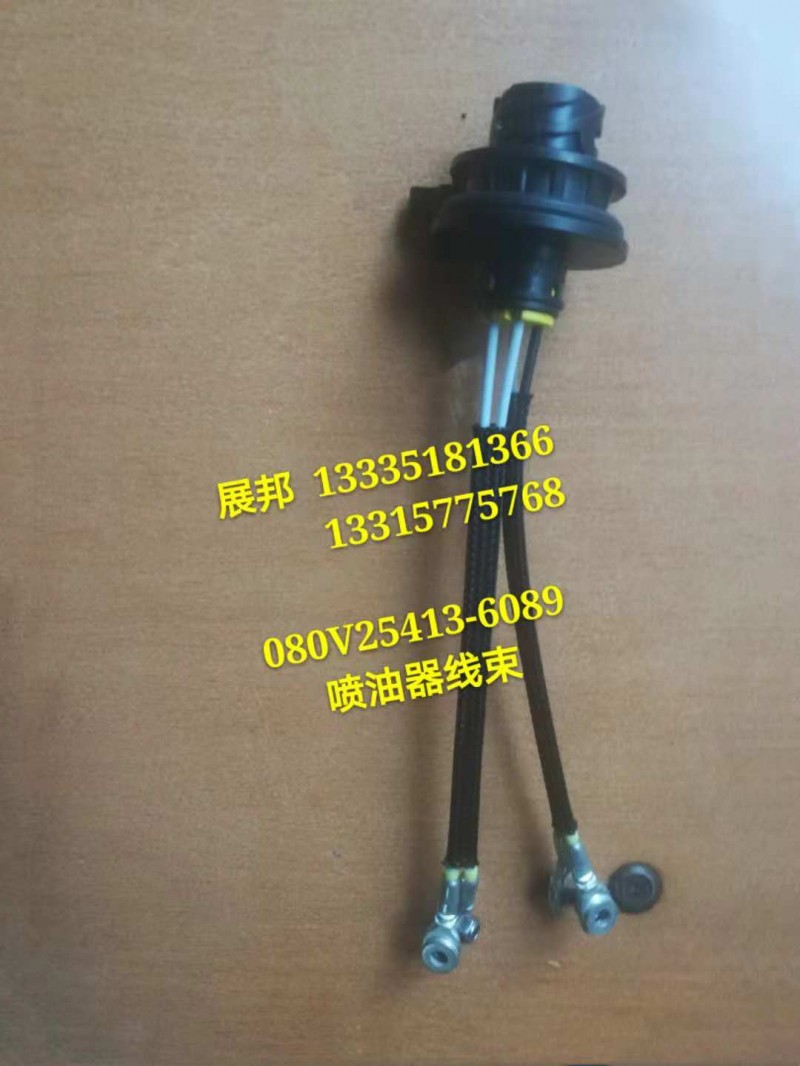 080V25413-6089,噴油器線束,濟南冠澤卡車配件營銷中心