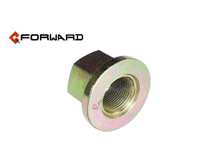 DZ95189611300,Wheel Nut,濟(jì)南向前汽車配件有限公司