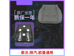 DZ13241510050,座椅座墊,濟南龍祥重卡配件有限公司
