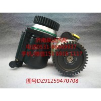 陜汽重卡原廠轉(zhuǎn)向油泵、轉(zhuǎn)子泵DZ91259470708