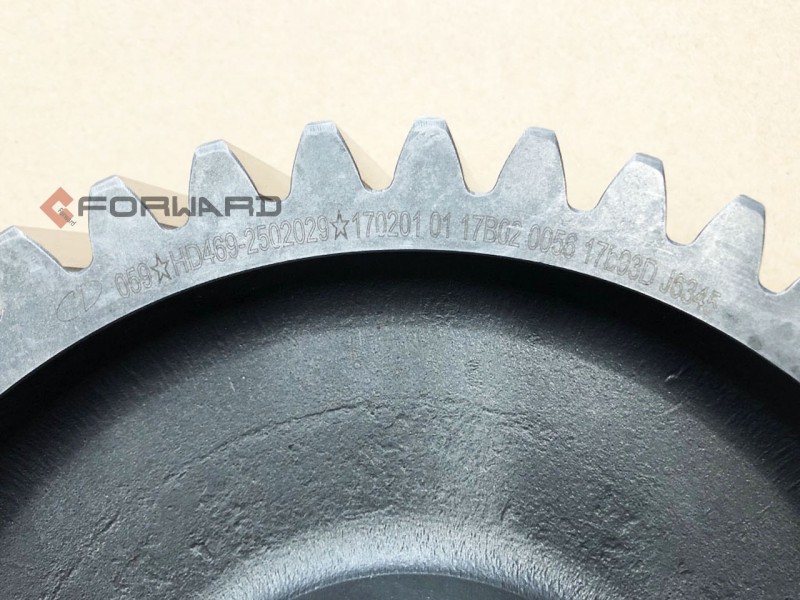 HD469-2502029,Driven cylindrical gear,濟(jì)南向前汽車配件有限公司
