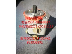QC18/14-D14XZ,轉(zhuǎn)向助力泵,濟南泉達汽配有限公司