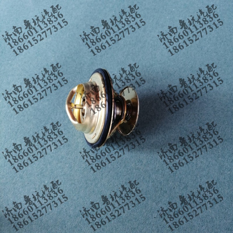 VG1246060024,調(diào)溫器,濟南魯杭汽配有限公司