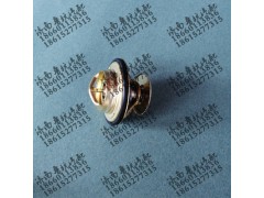 VG1246060024,調(diào)溫器,濟南魯杭汽配有限公司