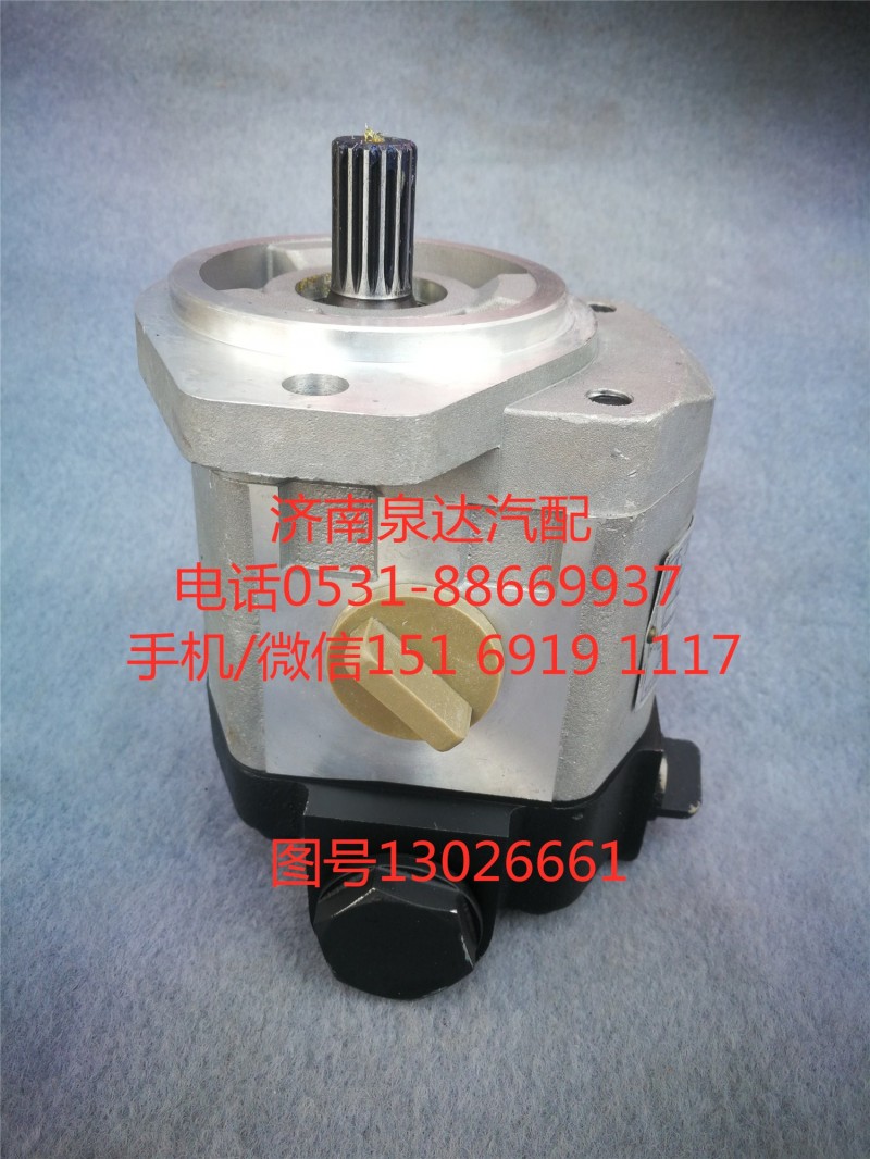 濰柴道依茨P7發(fā)動機齒輪泵、助力泵QC20/14-226B/13026661