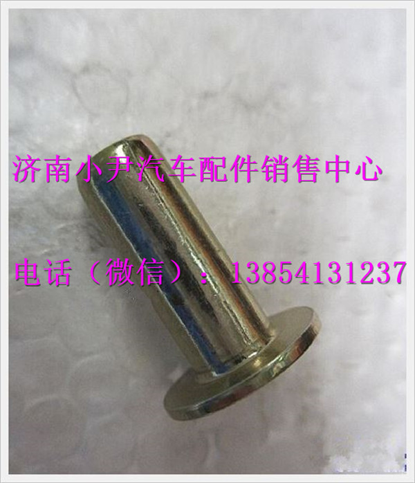 P81.92201.0109,陜汽德龍奧龍鉚釘,濟(jì)南少岱汽車配件有限公司