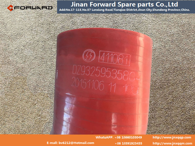 DZ93259535804 散熱器出水膠管 F3000/DZ93259535804