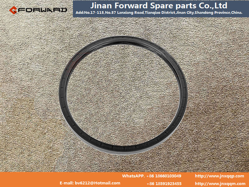 06.56289.0365,Hub oil seal (L),濟(jì)南向前汽車配件有限公司