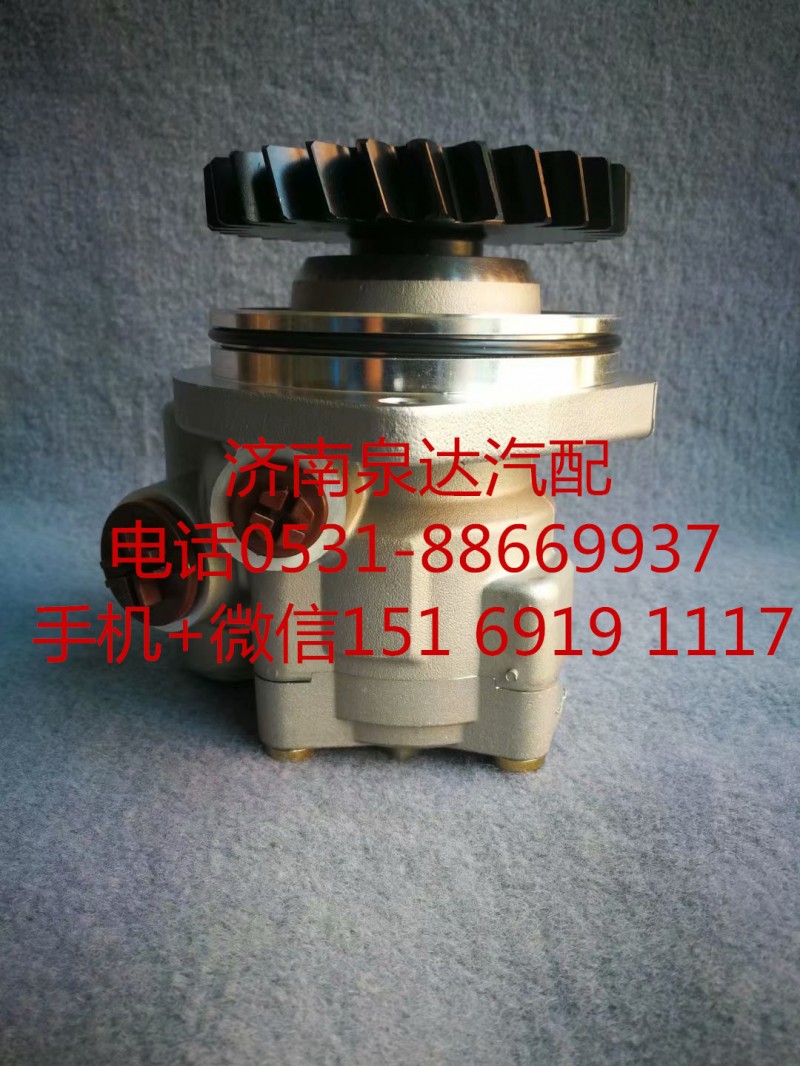 812700130019,助力泵,濟(jì)南泉達(dá)汽配有限公司