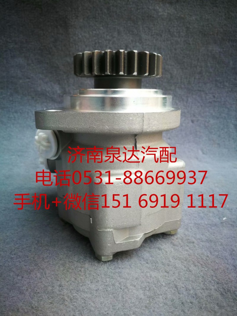 3407020AM39-0A2002,轉(zhuǎn)向助力泵,濟南泉達汽配有限公司