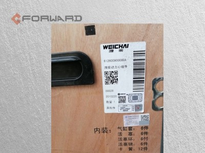 612600900080A,Weichai power center module,濟(jì)南向前汽車(chē)配件有限公司