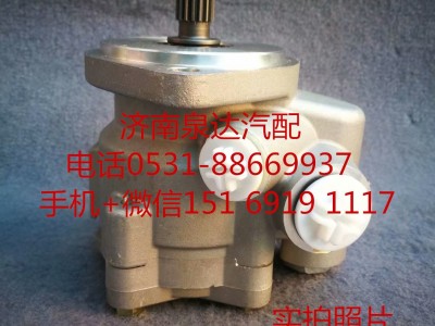 FG98026470909,轉向助力泵,濟南泉達汽配有限公司