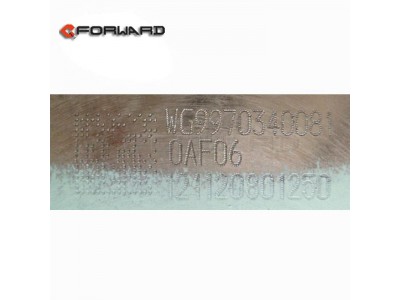 WG9970340081,Brake drum,濟(jì)南向前汽車(chē)配件有限公司