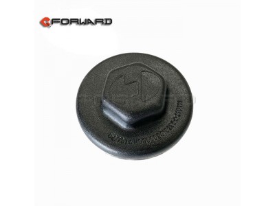 HD90009410285,wheel hub cap,濟(jì)南向前汽車配件有限公司