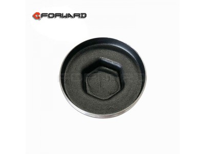 HD90009410285,wheel hub cap,濟(jì)南向前汽車配件有限公司