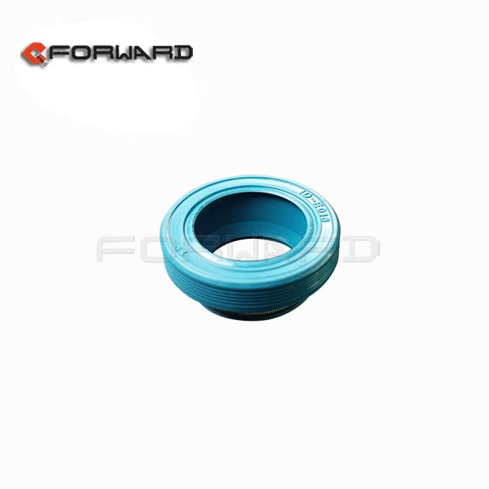 VG1540040022A,Skeleton oil seal,濟(jì)南向前汽車配件有限公司