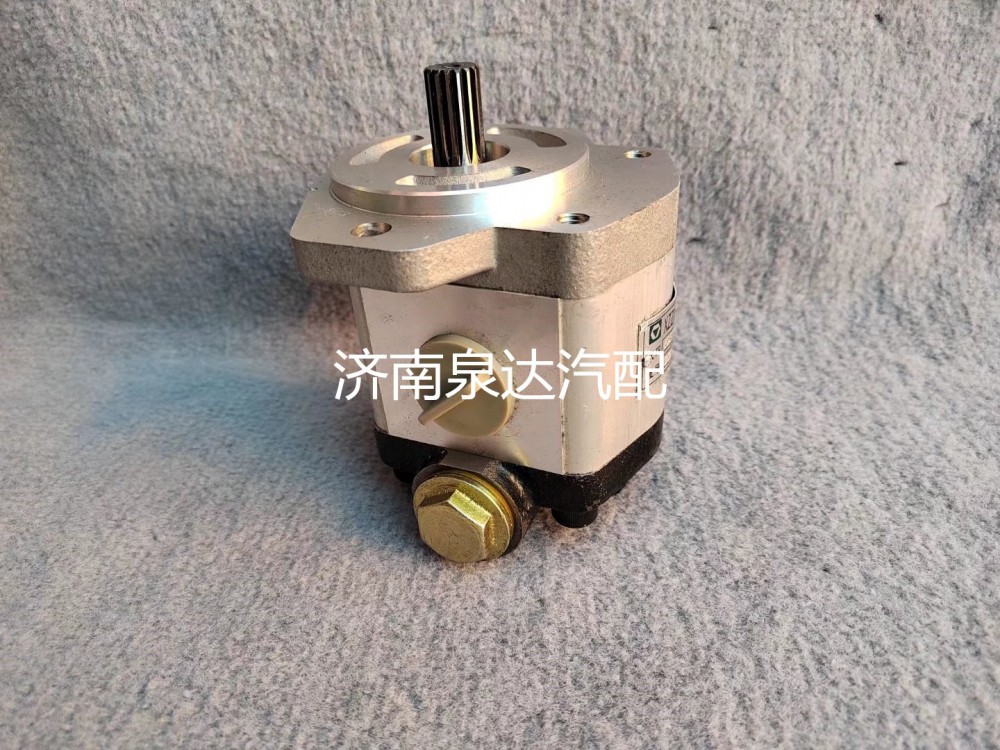 徐工起重機吊車XZZX-B301方向助力泵轉(zhuǎn)向泵液壓泵齒輪泵/803000065