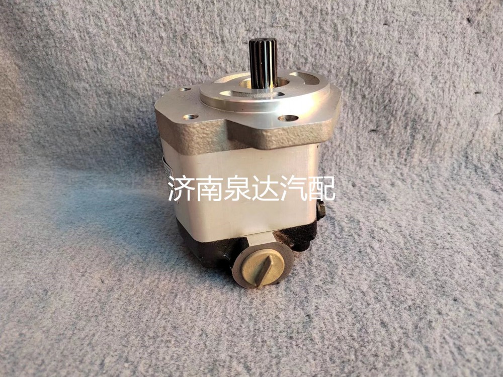 徐工起重機吊車XZZX-B301方向助力泵轉(zhuǎn)向泵液壓泵齒輪泵/803000065