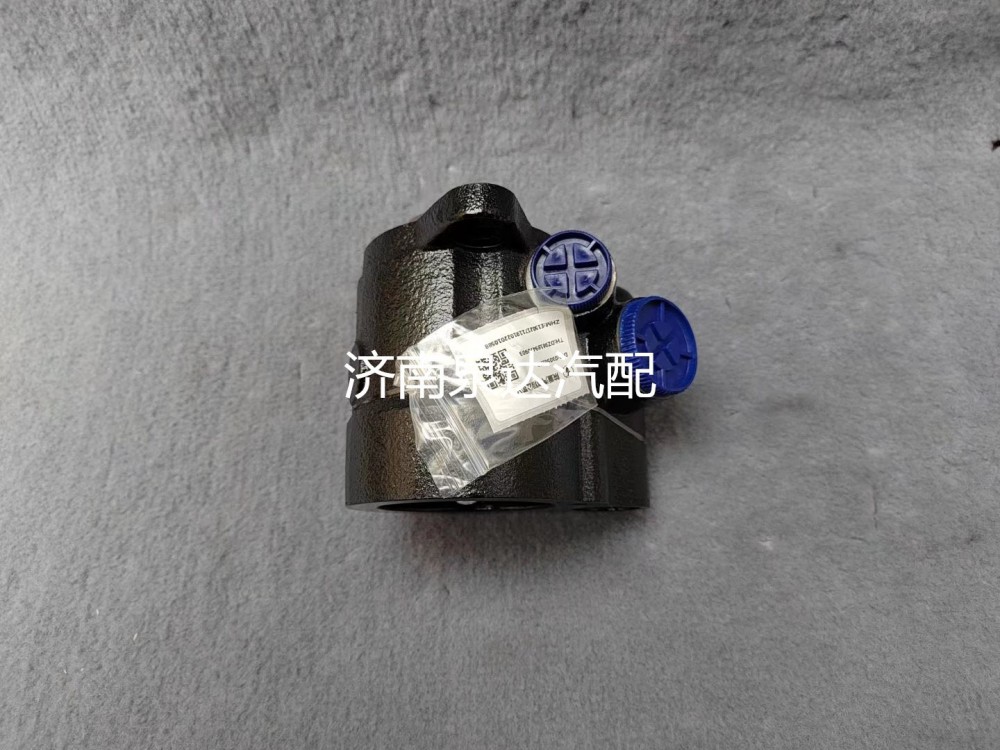 DZ96189470903,轉(zhuǎn)向助力泵,濟南泉達汽配有限公司