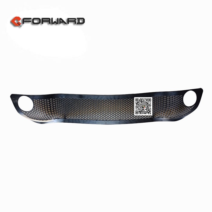 WG1642242105,Bumper trim mesh,濟(jì)南向前汽車(chē)配件有限公司