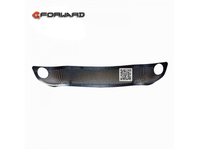 WG1642242105,Bumper trim mesh,濟(jì)南向前汽車(chē)配件有限公司