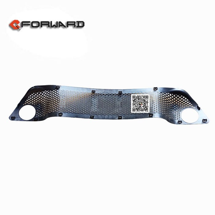 WG1642242105,Bumper trim mesh,濟(jì)南向前汽車(chē)配件有限公司