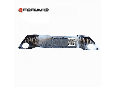 WG1642242105,Bumper trim mesh,濟(jì)南向前汽車(chē)配件有限公司
