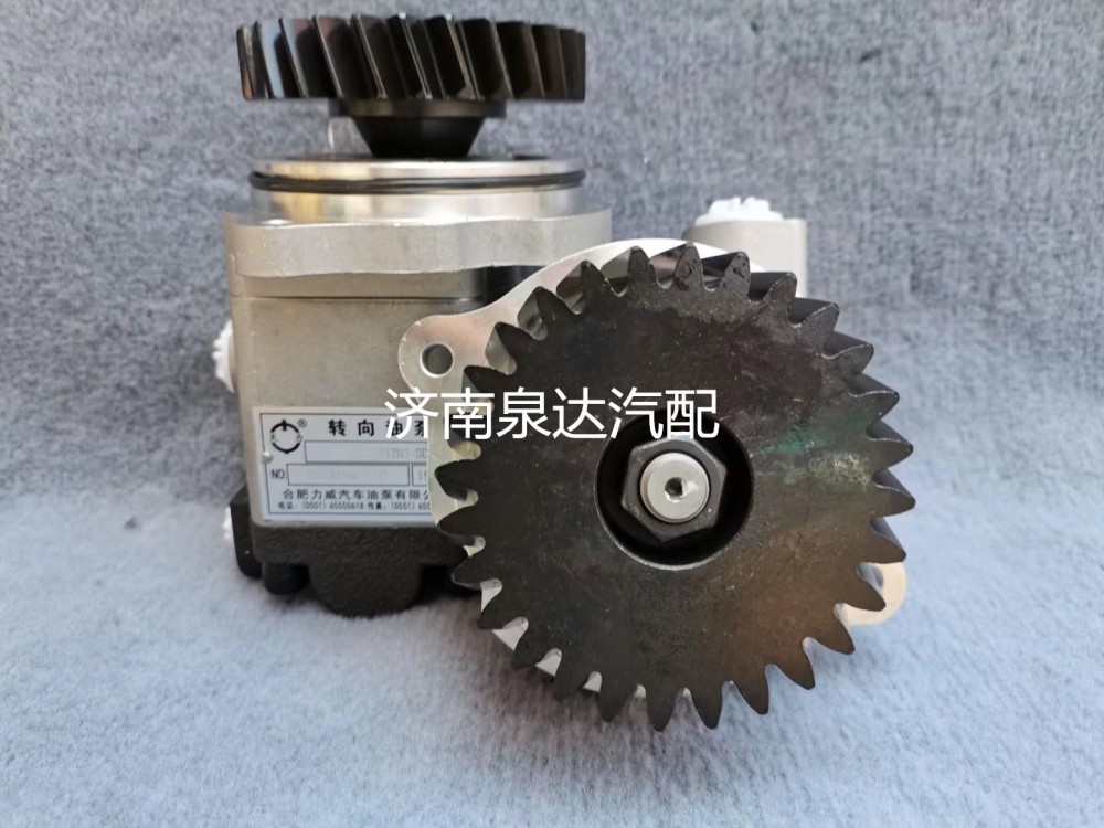 徐工漢風(fēng)祺龍漢沃G7G5方向助力泵齒輪泵液壓轉(zhuǎn)向油泵/3407TFW911-010