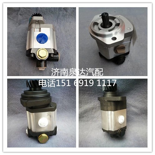 東風(fēng)康明斯6BT,QSB3.9,5.9發(fā)動(dòng)機(jī)液壓齒輪泵轉(zhuǎn)向泵/CB20/20-AL1H13R