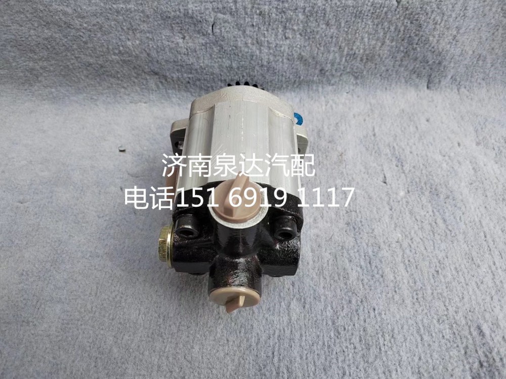 QC32/18-WD618,轉(zhuǎn)向助力泵,濟(jì)南泉達(dá)汽配有限公司