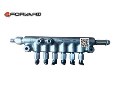R61540080016,Common rail assembly D12,濟南向前汽車配件有限公司