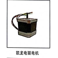 凱龍電驅(qū)電機(jī)