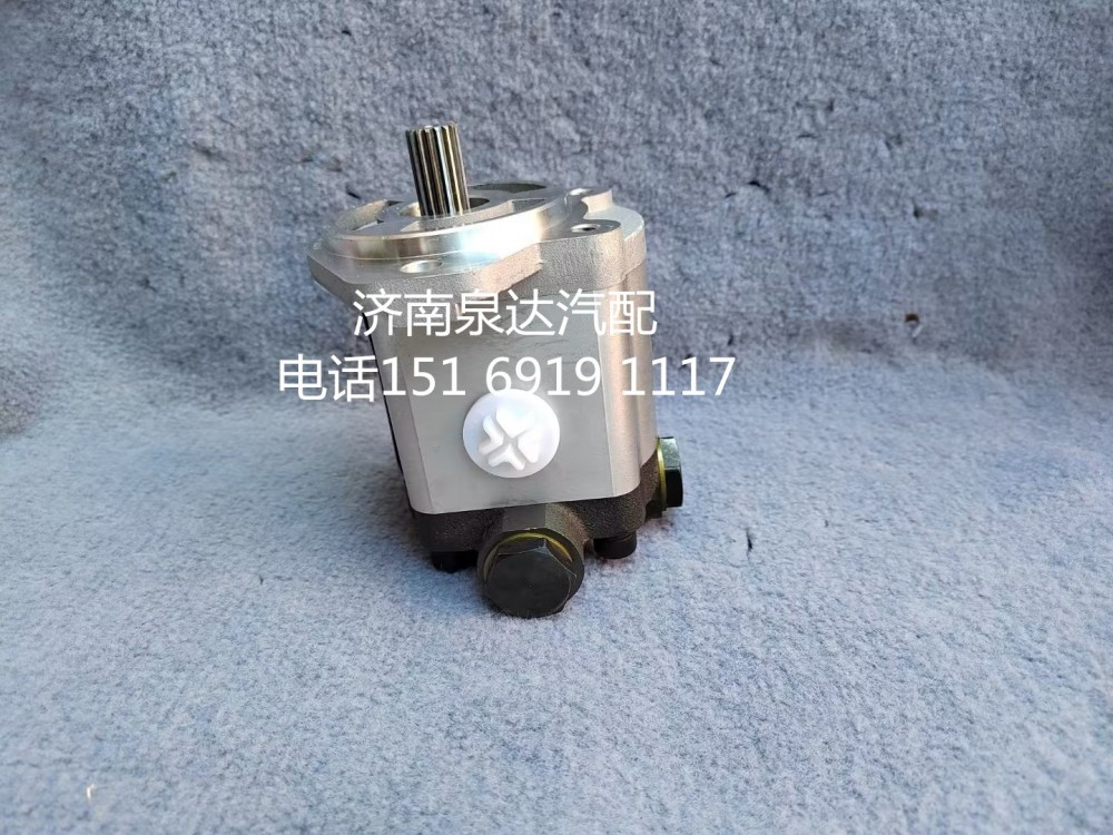 徐工吊車起重機(jī)齒輪泵液壓油泵助力泵轉(zhuǎn)向泵XZZX-B301/XZZX-B301