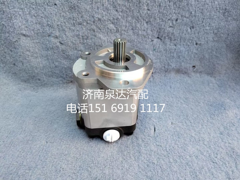 徐工起重機(jī)吊車轉(zhuǎn)向泵液壓油泵齒輪泵QC18/13-D14XZ/QC18/13-D14XZ