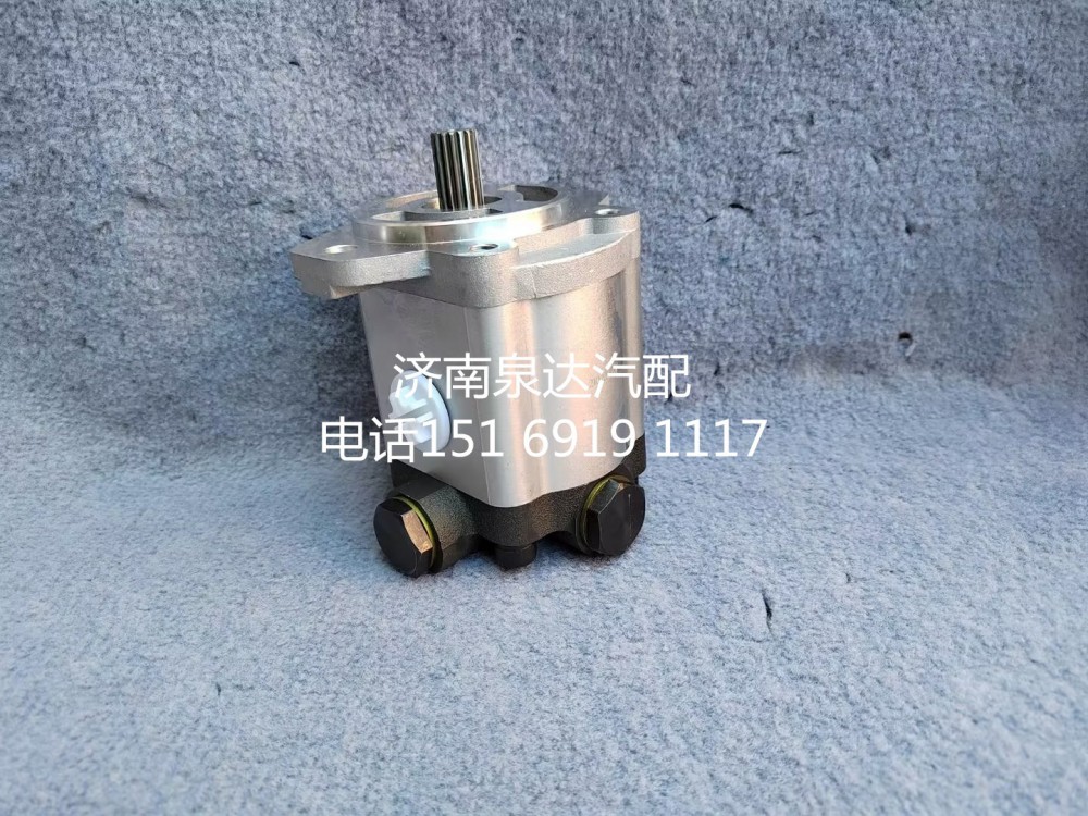 徐工起重機(jī)吊車轉(zhuǎn)向泵液壓油泵齒輪泵QC18/13-D14XZ/QC18/13-D14XZ