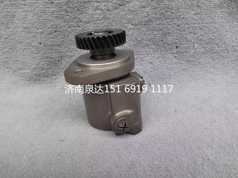 重汽豪沃豪曼悍將王牌統(tǒng)帥輕卡轉(zhuǎn)向泵助力泵液壓油泵/LG9704470030
