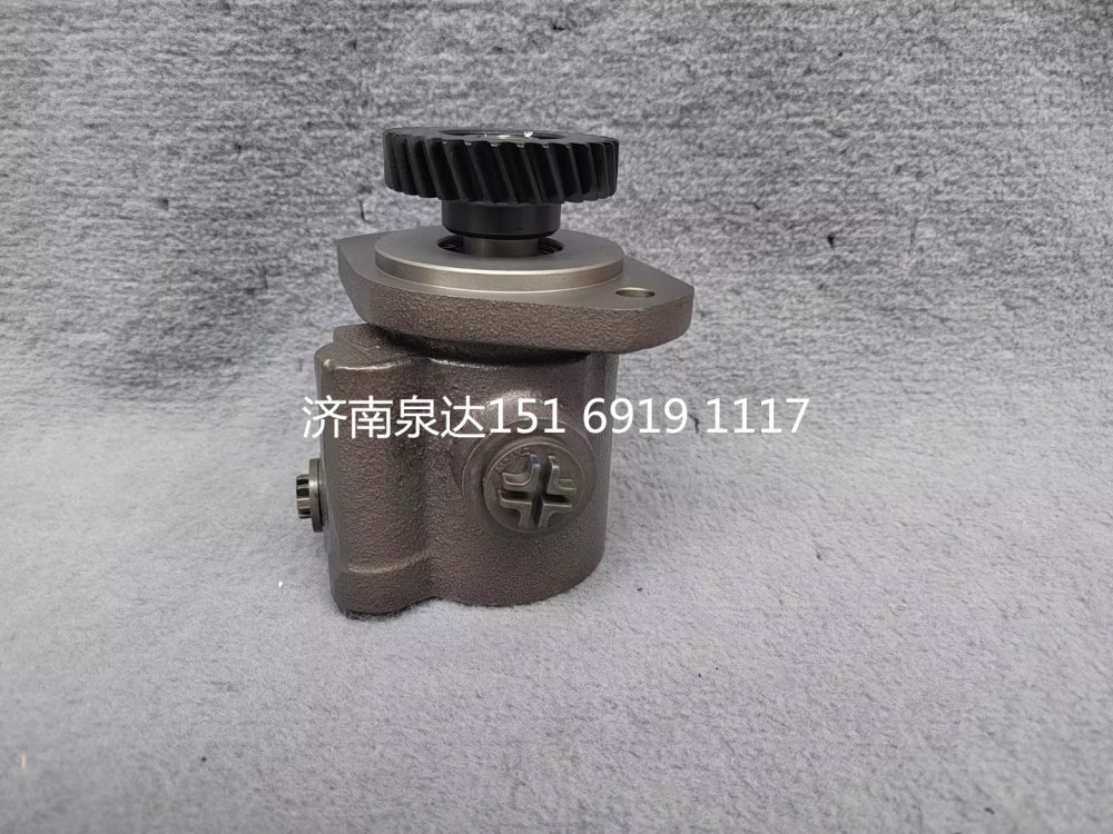 重汽豪沃豪曼悍將王牌統(tǒng)帥輕卡轉(zhuǎn)向泵助力泵液壓油泵/LG9704470030