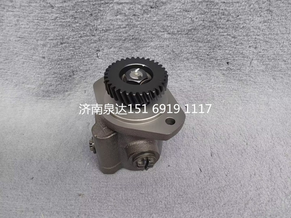 重汽豪沃豪曼悍將王牌統(tǒng)帥輕卡轉(zhuǎn)向泵助力泵液壓油泵/LG9704470030