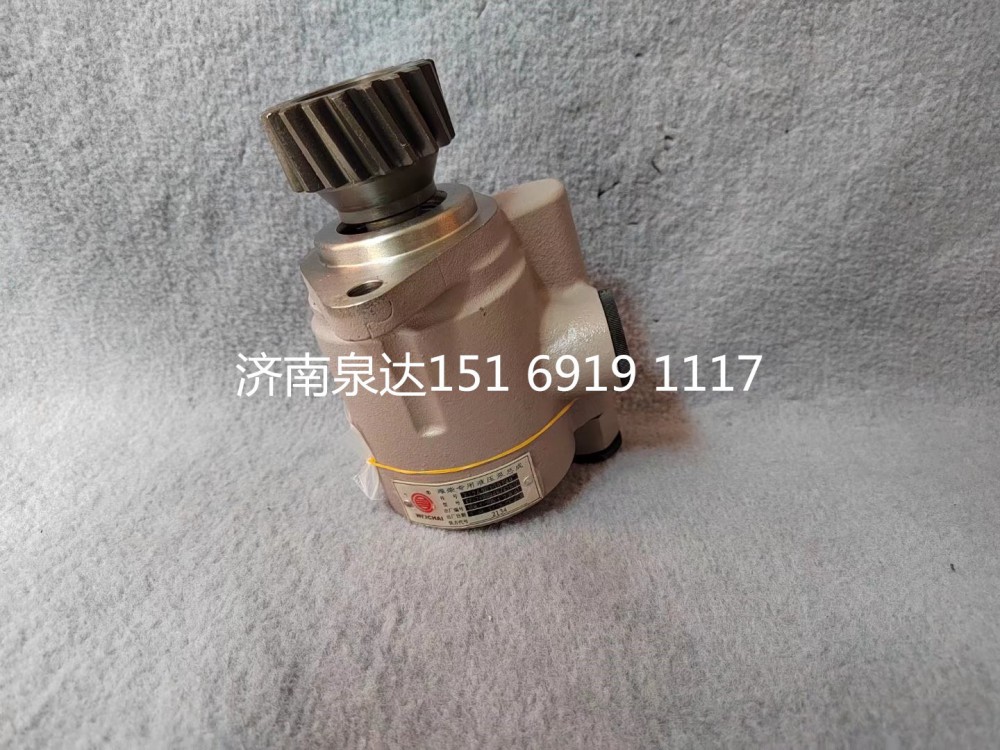 612600130149,轉(zhuǎn)向助力泵,濟南泉達汽配有限公司