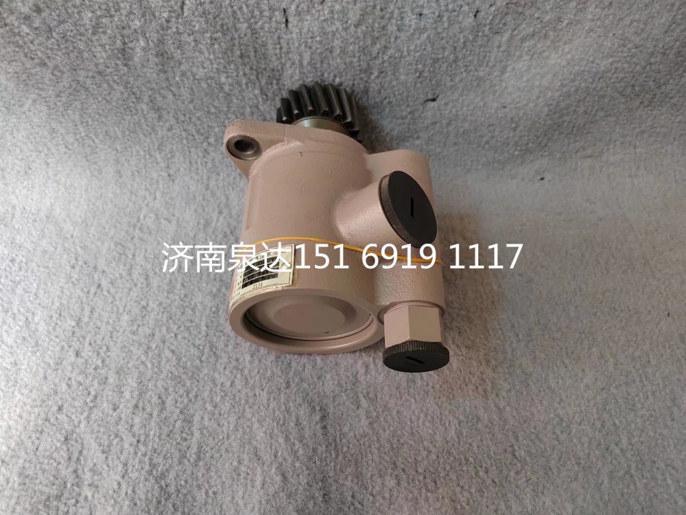 612600130149,轉(zhuǎn)向助力泵,濟南泉達汽配有限公司