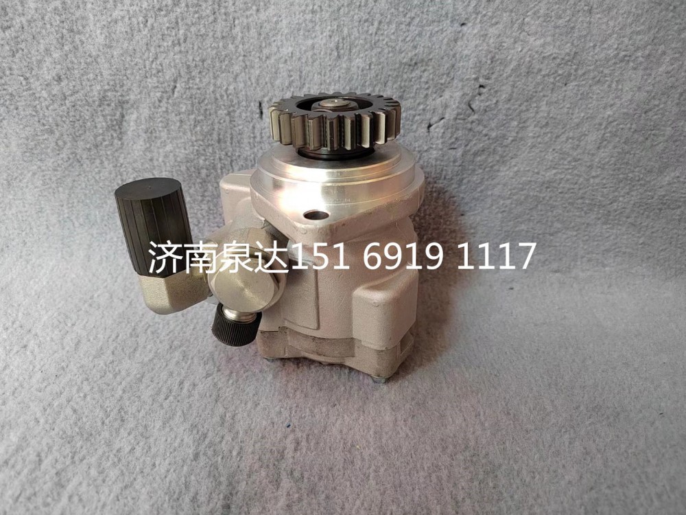 3407020AM50-0A2010,轉(zhuǎn)向助力泵,濟南泉達汽配有限公司