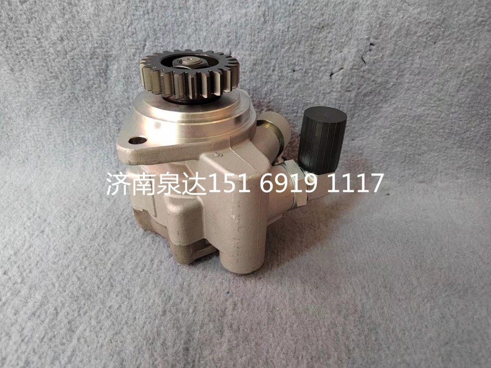 3407020AM50-0A2010,轉(zhuǎn)向助力泵,濟南泉達汽配有限公司