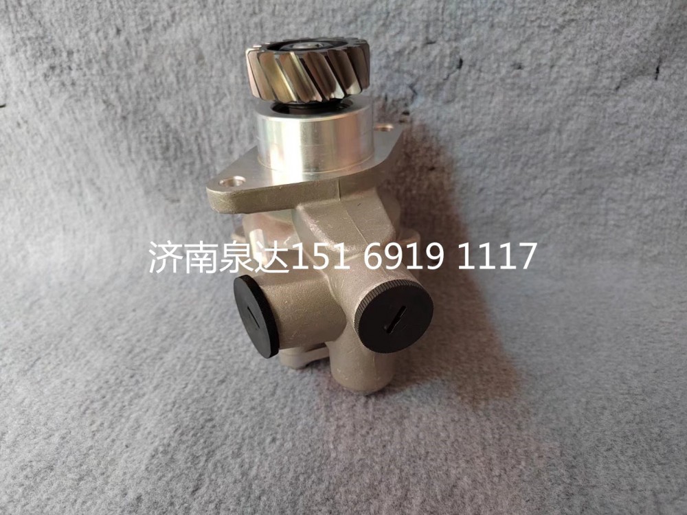 福田歐曼國五國六發(fā)動(dòng)機(jī)動(dòng)力轉(zhuǎn)向油泵葉片泵液壓泵/H0340030305A0
