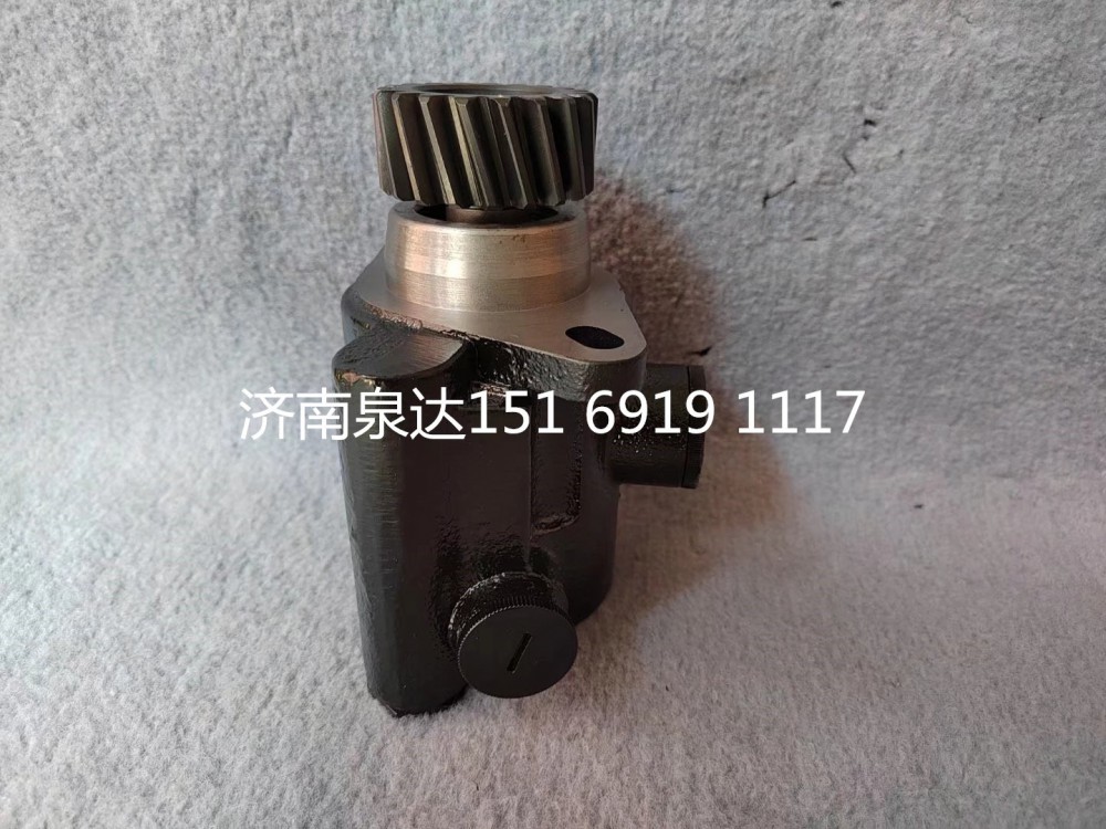 福田歐曼GTL ETX動(dòng)力轉(zhuǎn)向油泵葉片泵液壓泵/1131334001012