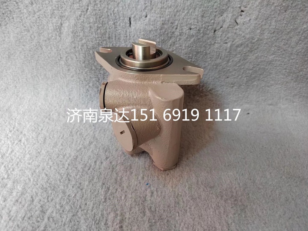 重汽黃河少帥玉柴發(fā)動(dòng)機(jī)轉(zhuǎn)向泵助力泵液壓泵/WG9419471050