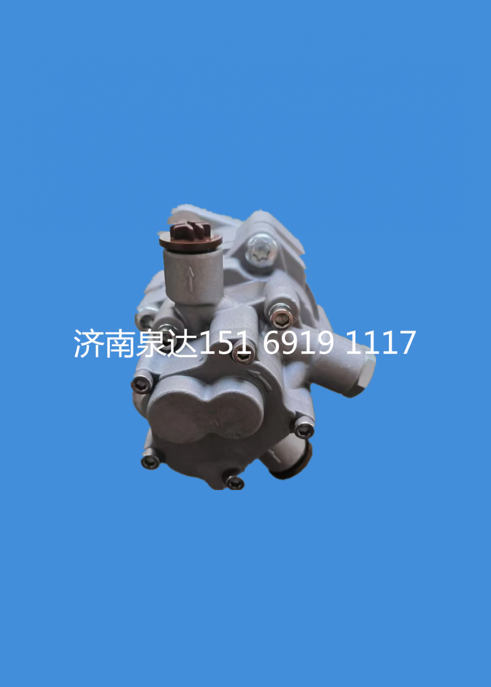 8696955105,轉(zhuǎn)向助力泵,濟南泉達汽配有限公司