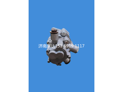 8696955105,轉(zhuǎn)向助力泵,濟南泉達汽配有限公司