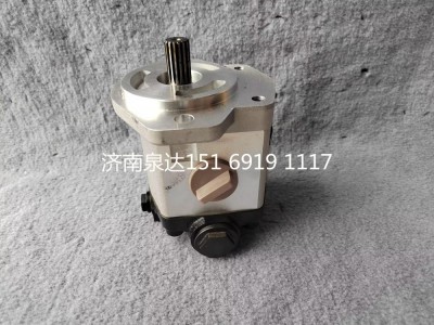 QC18/13-D14XZ,轉(zhuǎn)向助力泵,濟(jì)南泉達(dá)汽配有限公司